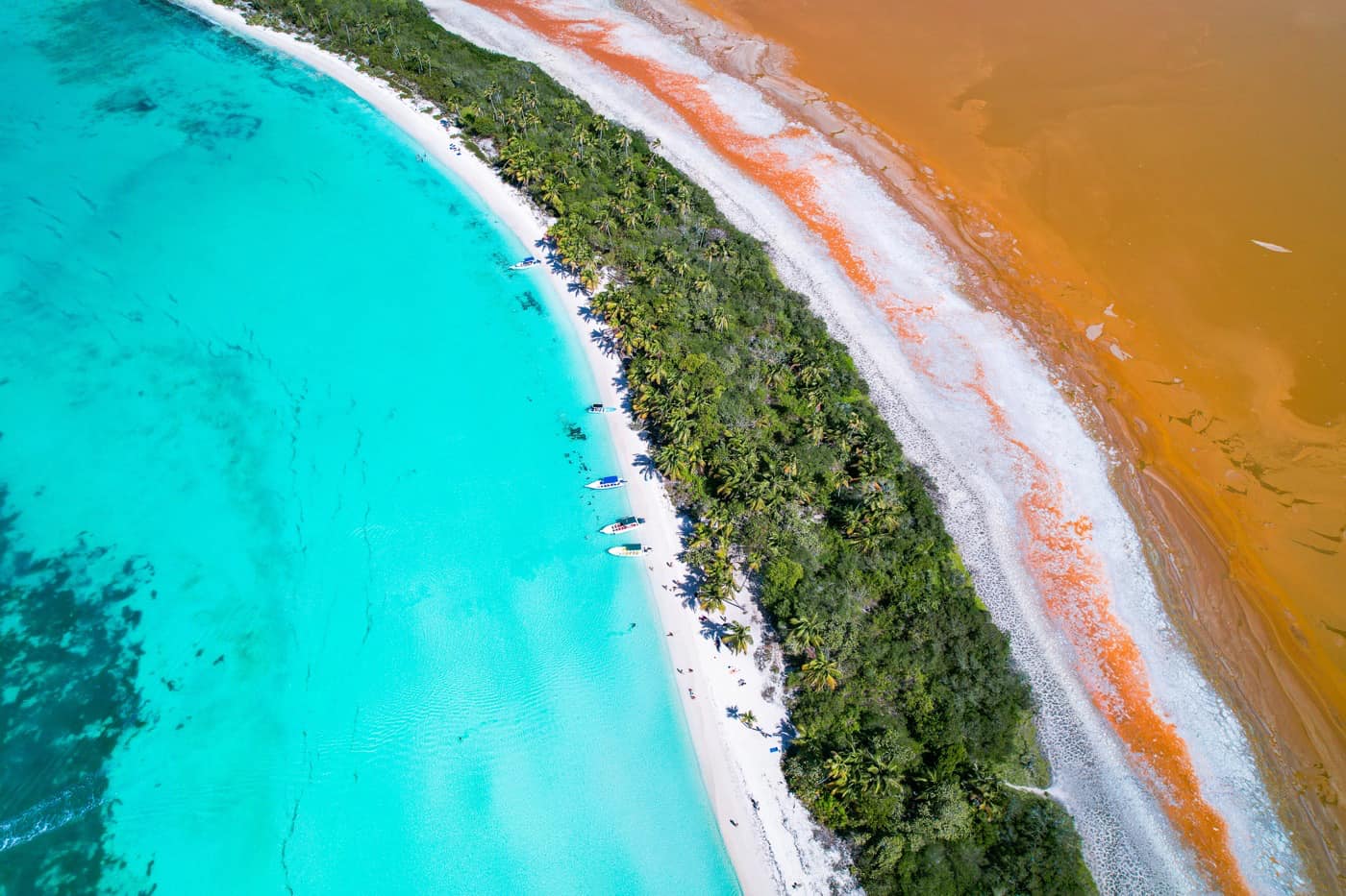 1 Excursion isla saona