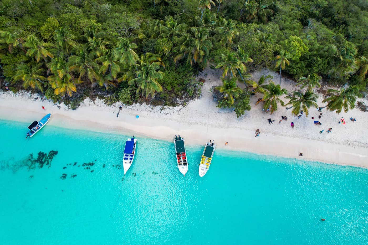 Excursion isla saona 3