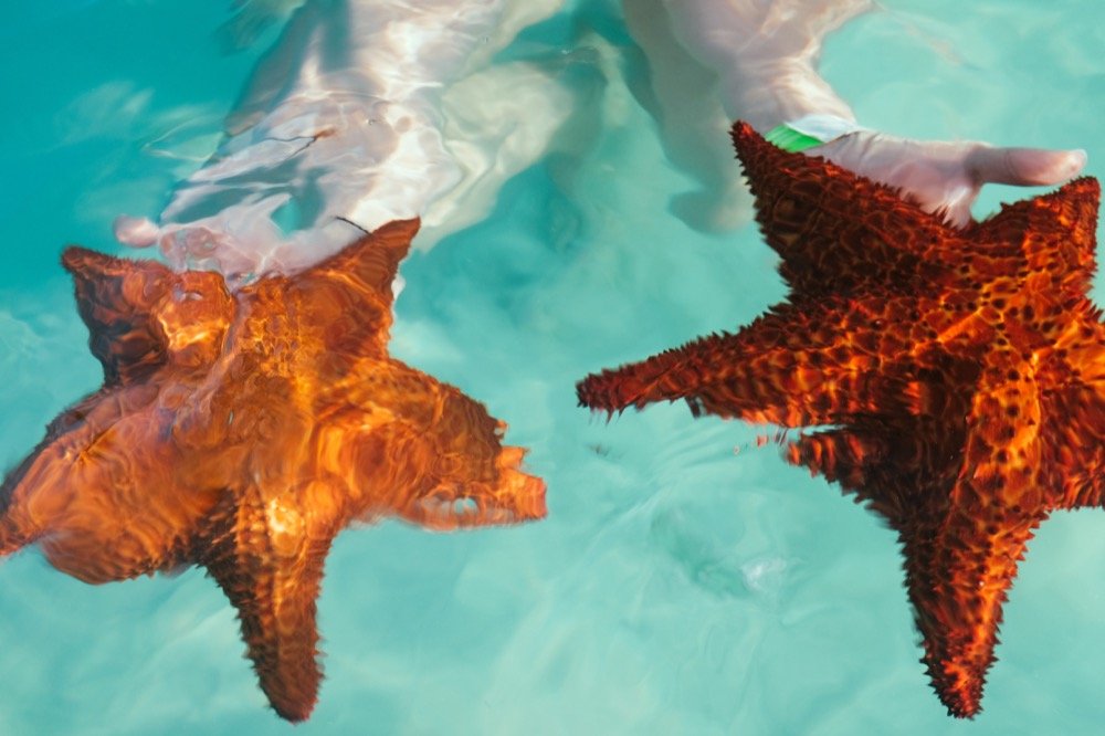 Excursion isla saona 5