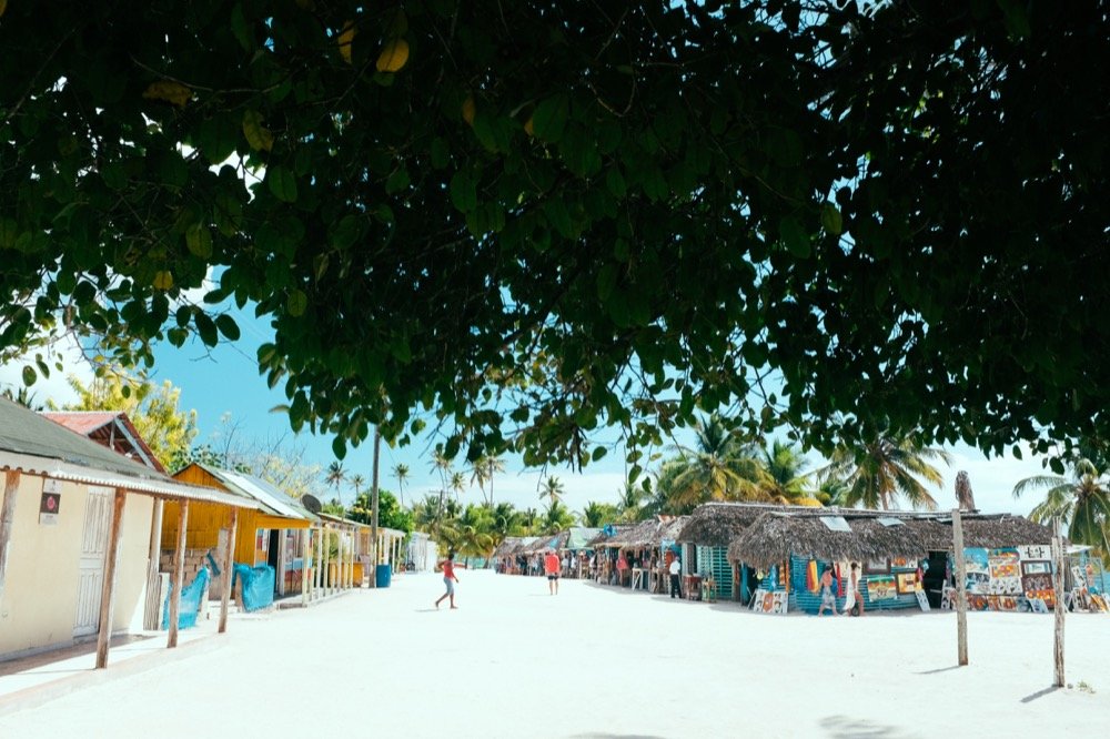 9 Excursion isla saona